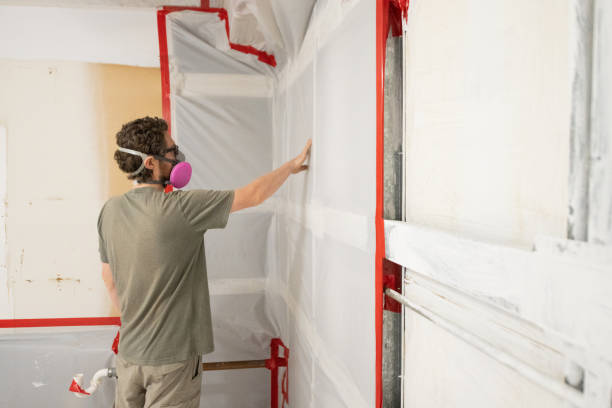 Best Mold Odor Removal Services  in Brunswick, GA